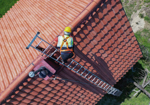 Best Roof Maintenance and Cleaning  in Maumee, OH